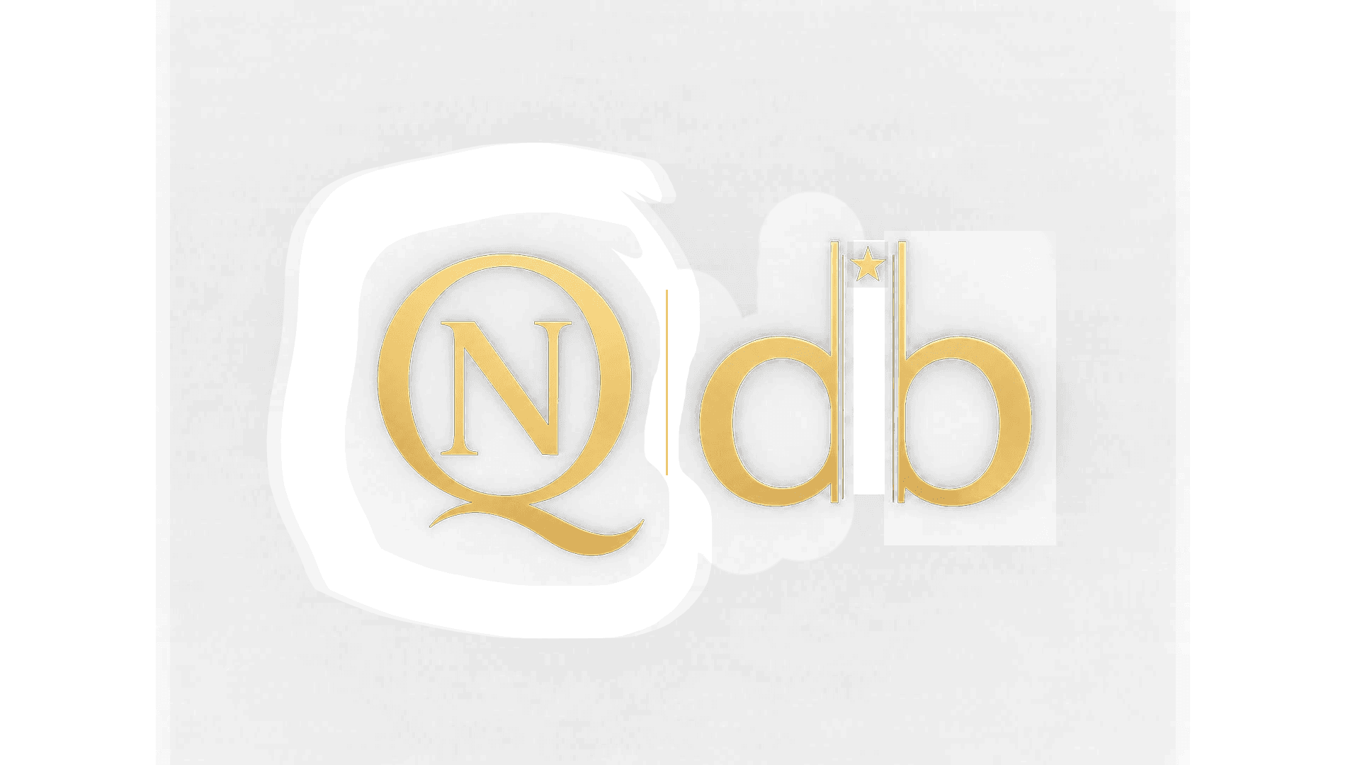 QNDB Logo